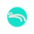 dooey logo